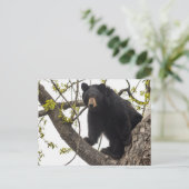 Beer met klimmen briefkaart (Staand voorkant)