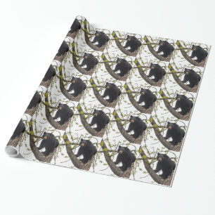 Beer met klimmen cadeaupapier