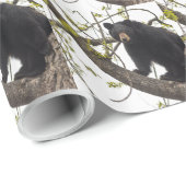 Beer met klimmen cadeaupapier (Rol Hoek)