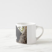 Beer met klimmen espresso kop (Rechts)