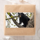 Beer met klimmen etiket (Insitu)