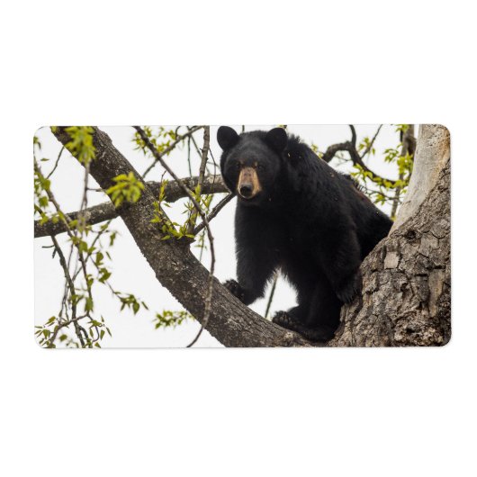 Beer met klimmen etiket (Voorkant)