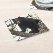 Beer met klimmen kartonnen onderzetters (Schuin)