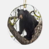 Beer met klimmen keramisch ornament (Links)