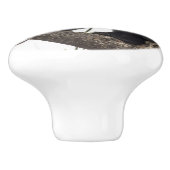 Beer met klimmen keramische knop (Zijkant)