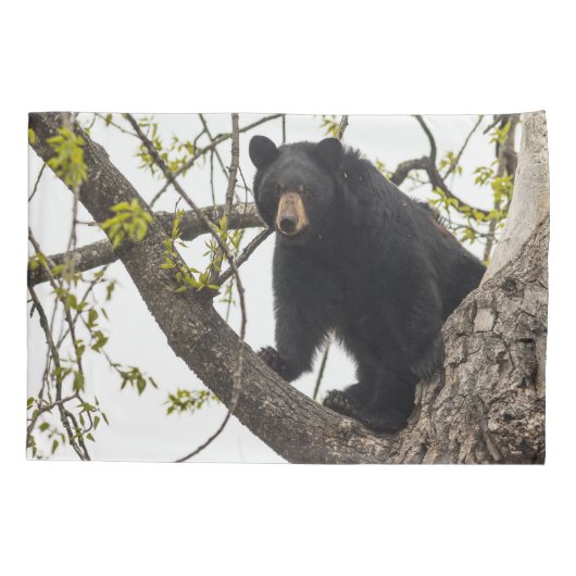 Beer met klimmen kussensloop (Achterkant-Links)