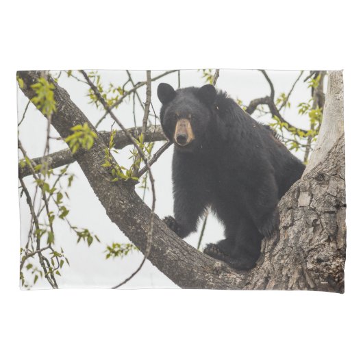 Beer met klimmen kussensloop (Voorkant-Links)