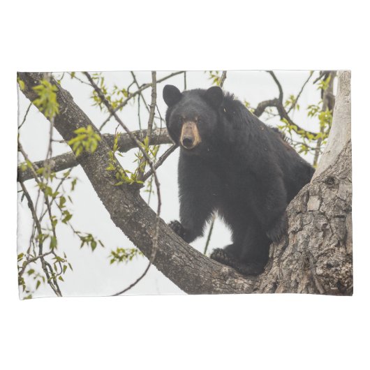 Beer met klimmen kussensloop (Voorkant-Rechts)