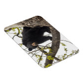 Beer met klimmen magneet (Rechterzijde)