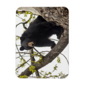 Beer met klimmen magneet (Verticaal)