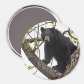 Beer met klimmen magneet (Voorkant / Achterkant)