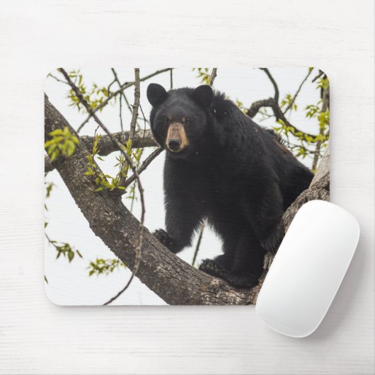 Beer met klimmen muismat (Met muis)