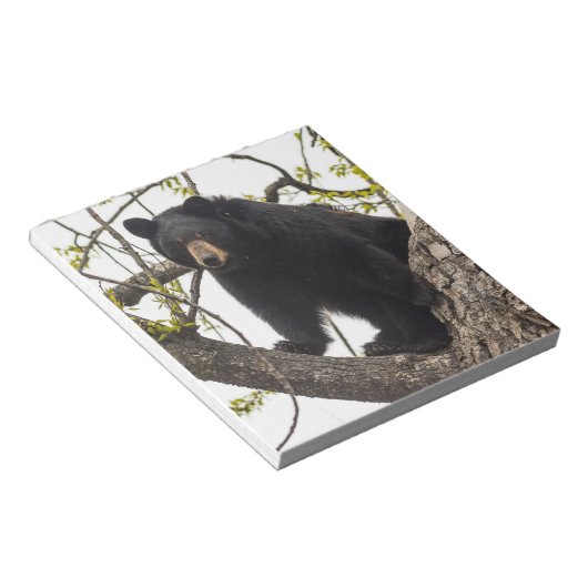 Beer met klimmen notitieblok (Schuin)