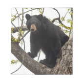 Beer met klimmen notitieblok (Voorkant)