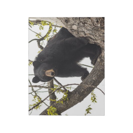 Beer met klimmen notitieblok (Linkerzijde)