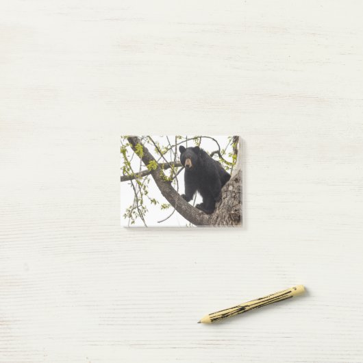 Beer met klimmen post-it® notes (Op bureau)