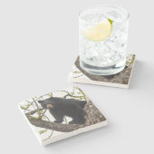 Beer met klimmen stenen onderzetter (Zijkant)