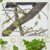 Beer met klimmen theedoek (Gevouwen)