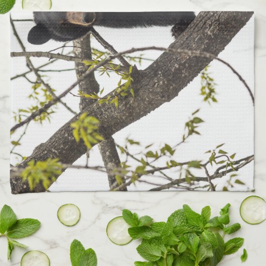 Beer met klimmen theedoek (Gevouwen)