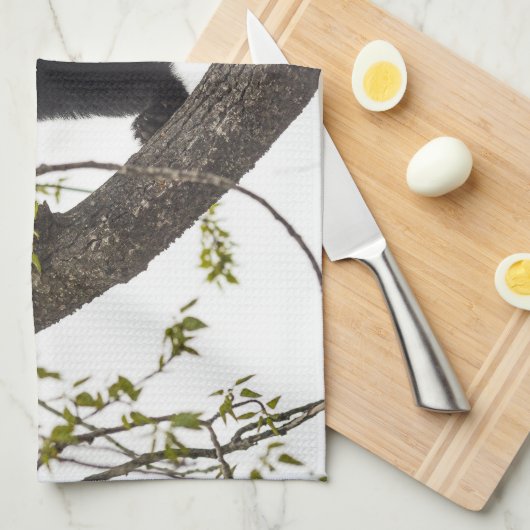 Beer met klimmen theedoek (Quarter Fold)