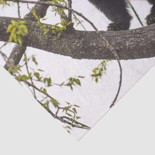 Beer met klimmen tissuepapier (Detail)