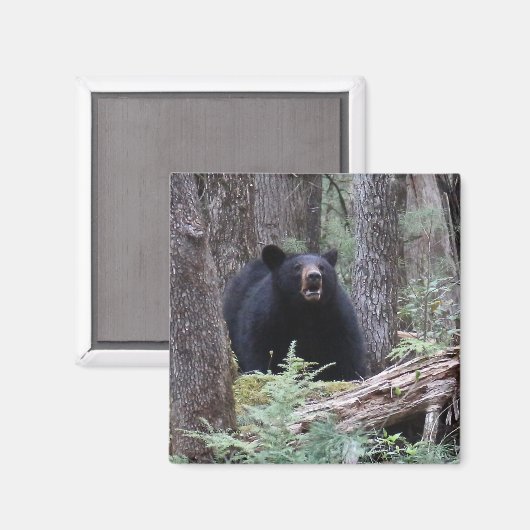 Beer met mij magneet (Voorkant / Achterkant)