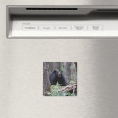 Beer met mij magneet (Insitu (Vaatwasser))