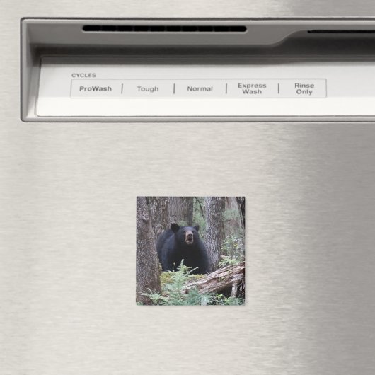 Beer met mij magneet (Insitu (Vaatwasser))