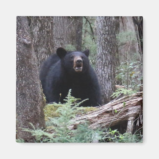 Beer met mij magneet