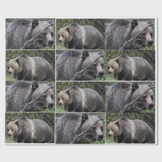 Beer met roosterdop cadeaupapier (Vlak)