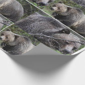 Beer met roosterdop cadeaupapier (Hoek)