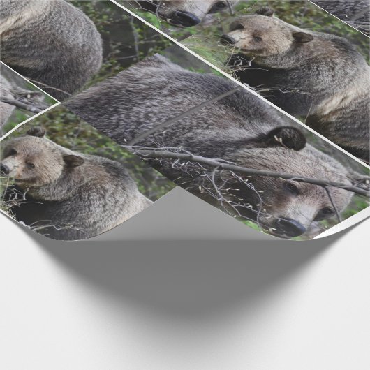 Beer met roosterdop cadeaupapier (Hoek)