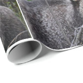 Beer met roosterdop cadeaupapier (Rol Hoek)