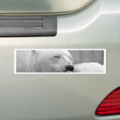 Beer met rustpolair bumpersticker (Op auto)
