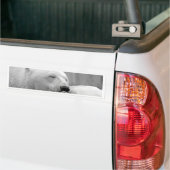 Beer met rustpolair bumpersticker (Op Truck)