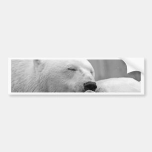 Beer met rustpolair bumpersticker