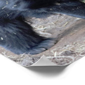 Beer met sleuf poster (Hoek)