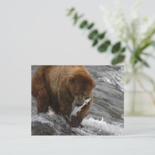 Beer met zalm, Brooks Herfsten Alaska Briefkaart (Staand voorkant)