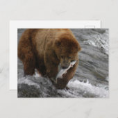 Beer met zalm, Brooks Herfsten Alaska Briefkaart (Voorkant / Achterkant)