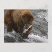 Beer met zalm, Brooks Herfsten Alaska Briefkaart (Voorkant)