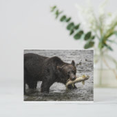 beer met zalm in zijn mond briefkaart (Staand voorkant)