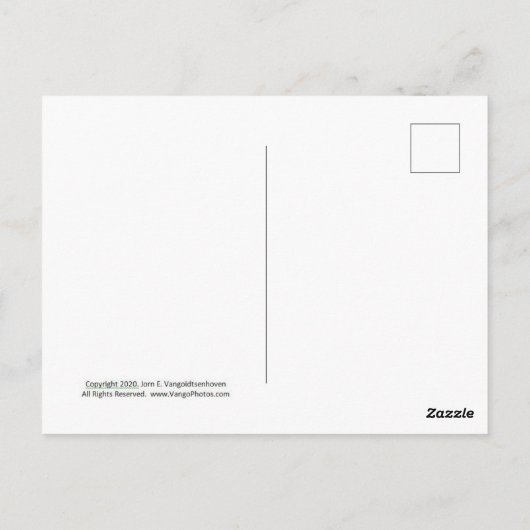 beer met zalm in zijn mond briefkaart (Achterkant)