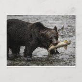 beer met zalm in zijn mond briefkaart (Voorkant)