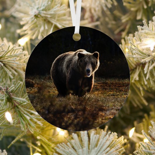 Beer Metalen Ornament (Insitu)