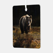 Beer Metalen Ornament (Voorkant links)