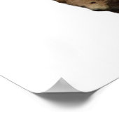 Beer Moeder Baby Dubbele blootstelling Poster (Hoek)