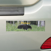 Beer Montana Bumpersticker (Op auto)