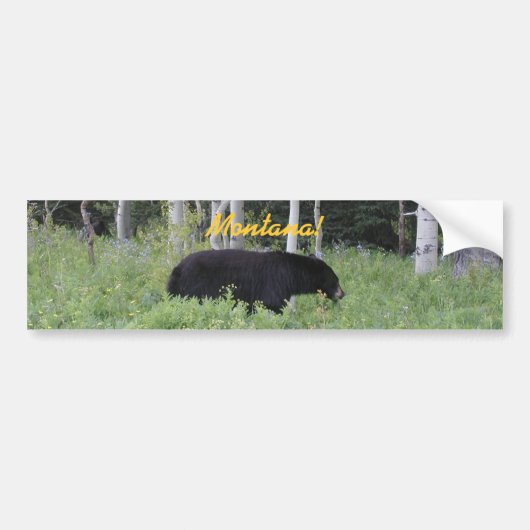Beer Montana Bumpersticker (Voorkant)