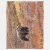 Beer Moves Denali National Park, Alaska in Herfst Fleece Deken (Voorkant)