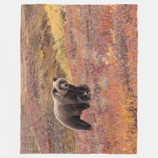 Beer Moves Denali National Park, Alaska in Herfst Fleece Deken (Voorkant)